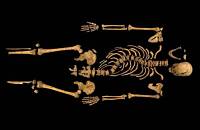 Noticias criminología. Falta de rigor científico en el hallazgo de huesos de Ricardo III. Marisol Collazos Soto