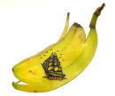 Toca comer. Barco banana. Marisol Collazos Soto